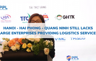 Hanoi - Hai Phong - Quang Ninh still lacks large enterprises providing logistics services